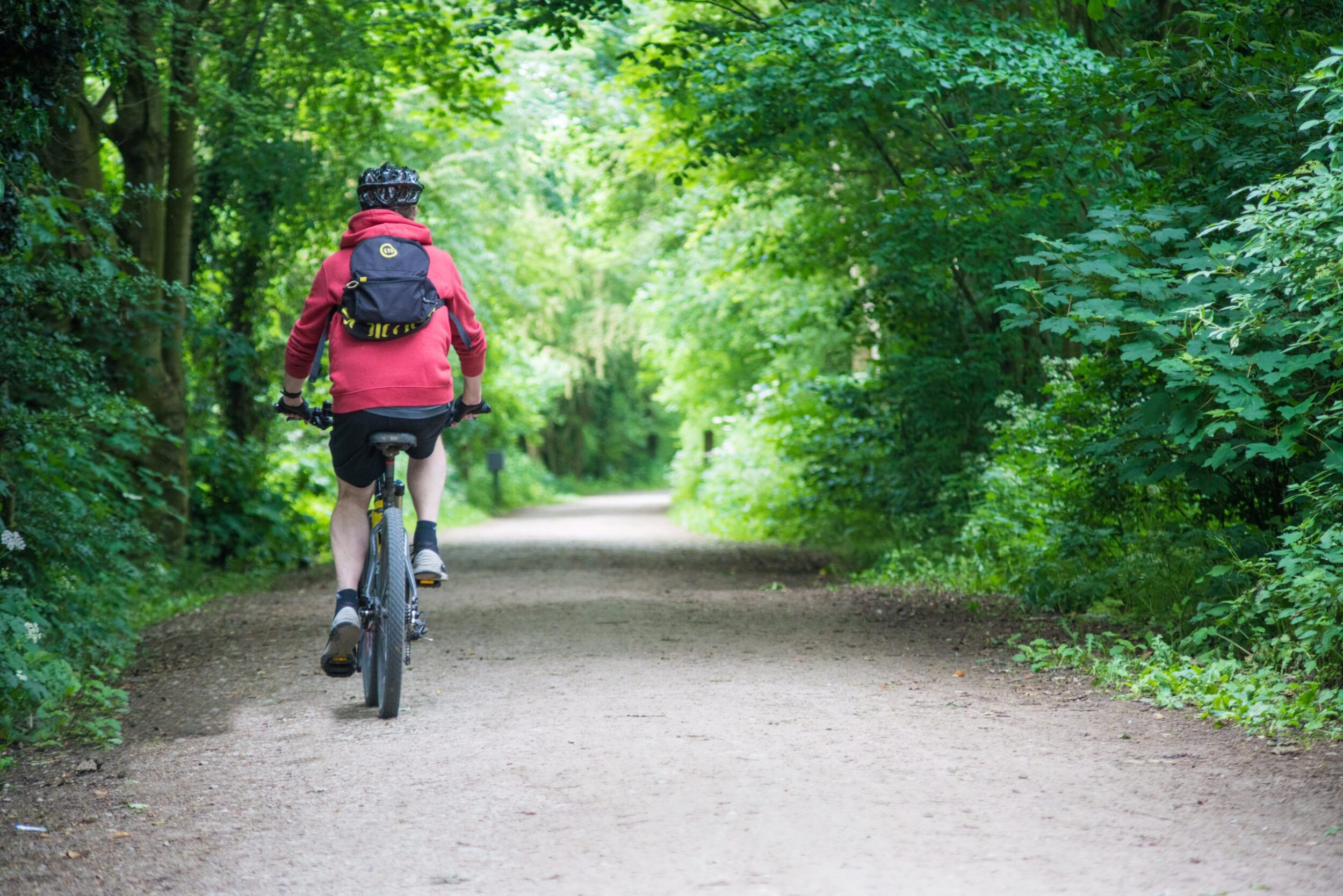 eBike Tours