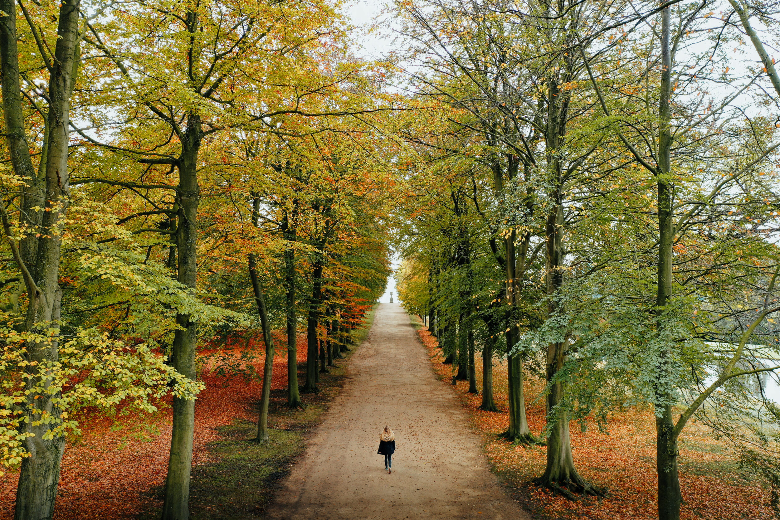 Enjoy Walks Around Chatsworth Estate